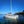 First Class Cocktail Sunset Cruise